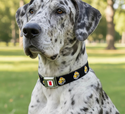 NYC Taxi - Manhattan Lifestyle Dog Collar